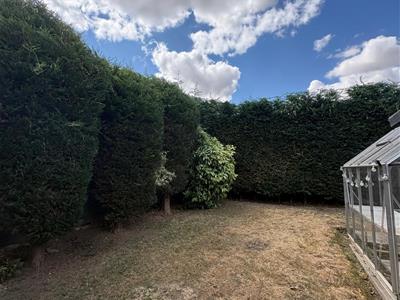Picture 24